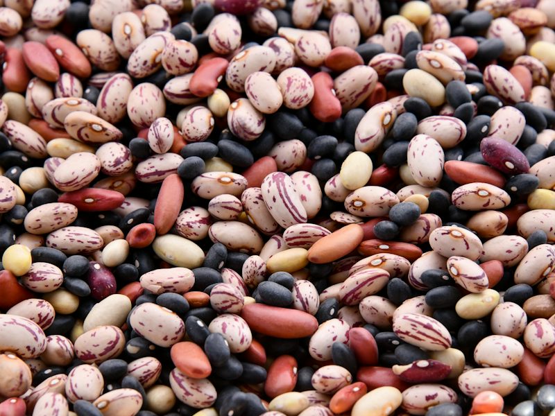 Assorted-colored bean lot